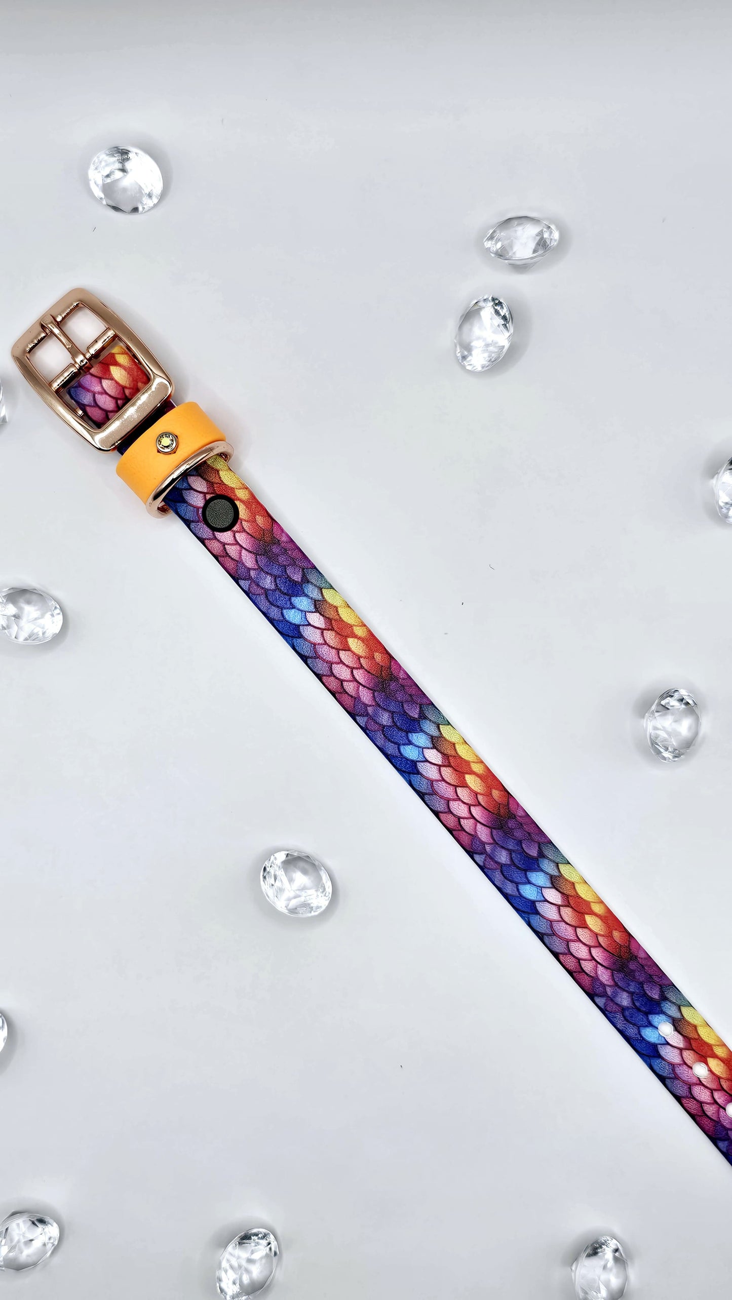 3/4" Collar (19 mm) - UV Printed Design