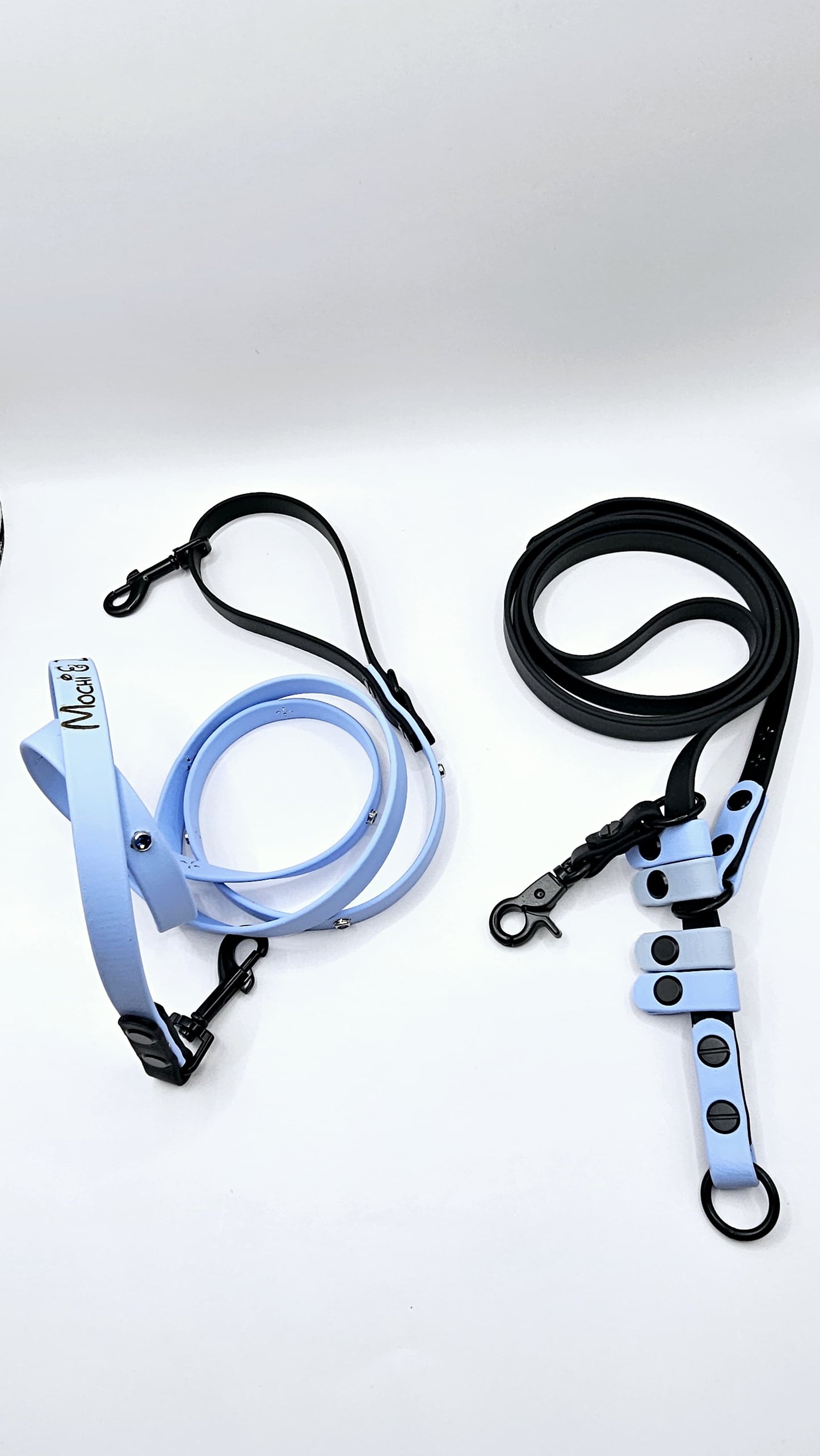 Convertible Leash (2.5 Metre)