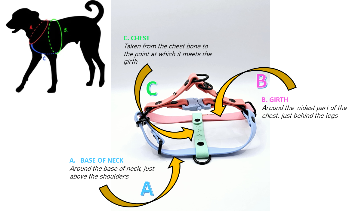 Step In Harness