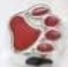 (Optional) Paw Prints Charm
