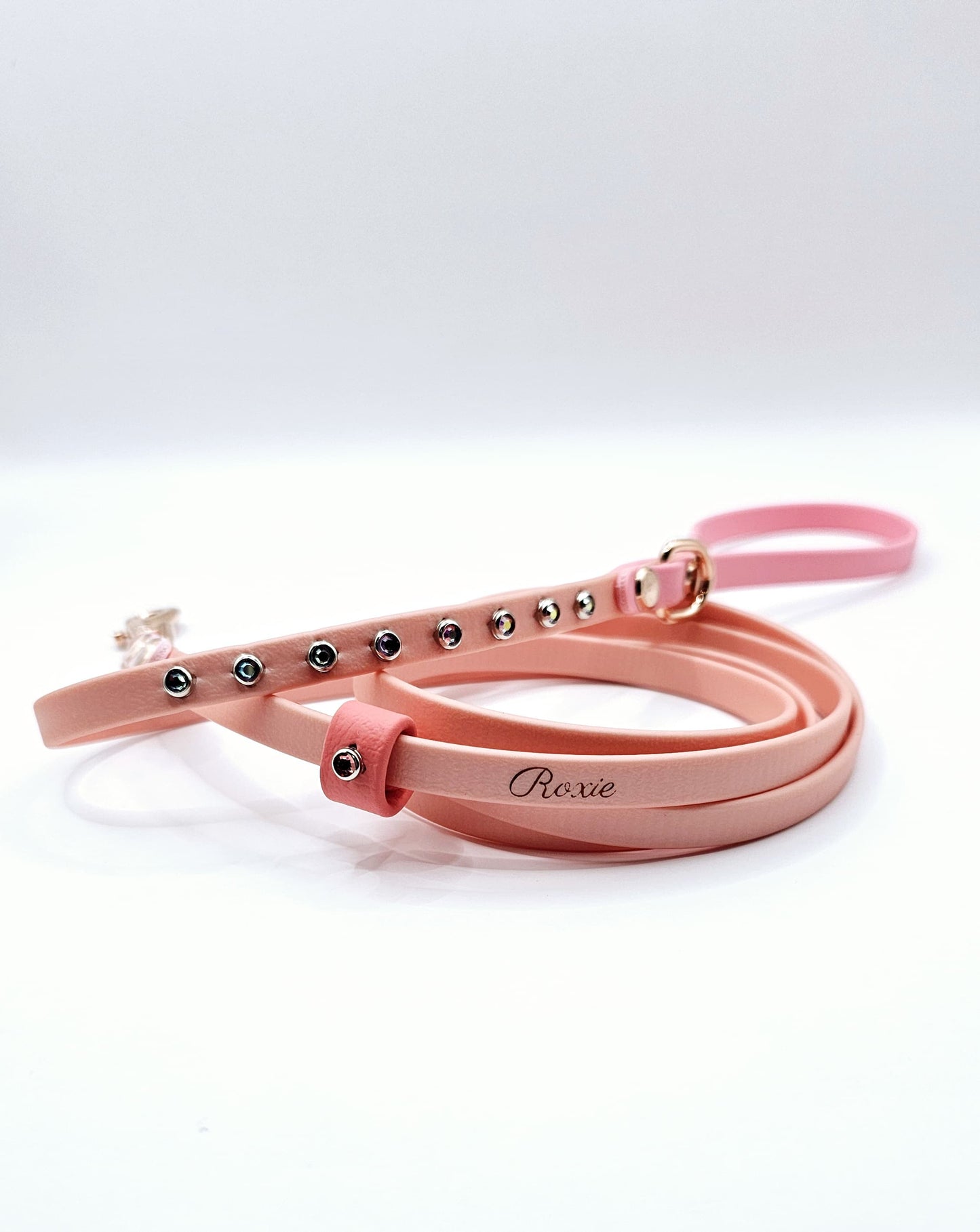 Standard Leash