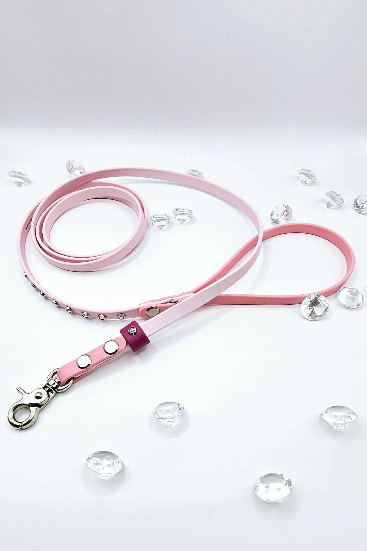Standard Leash