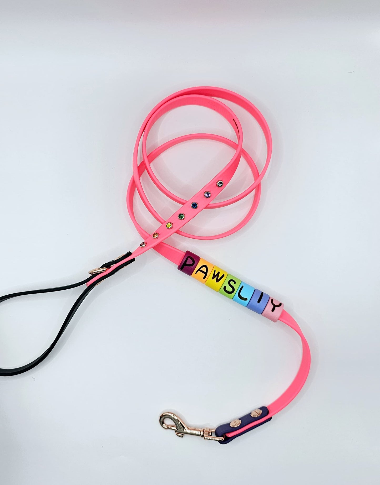 Standard Leash