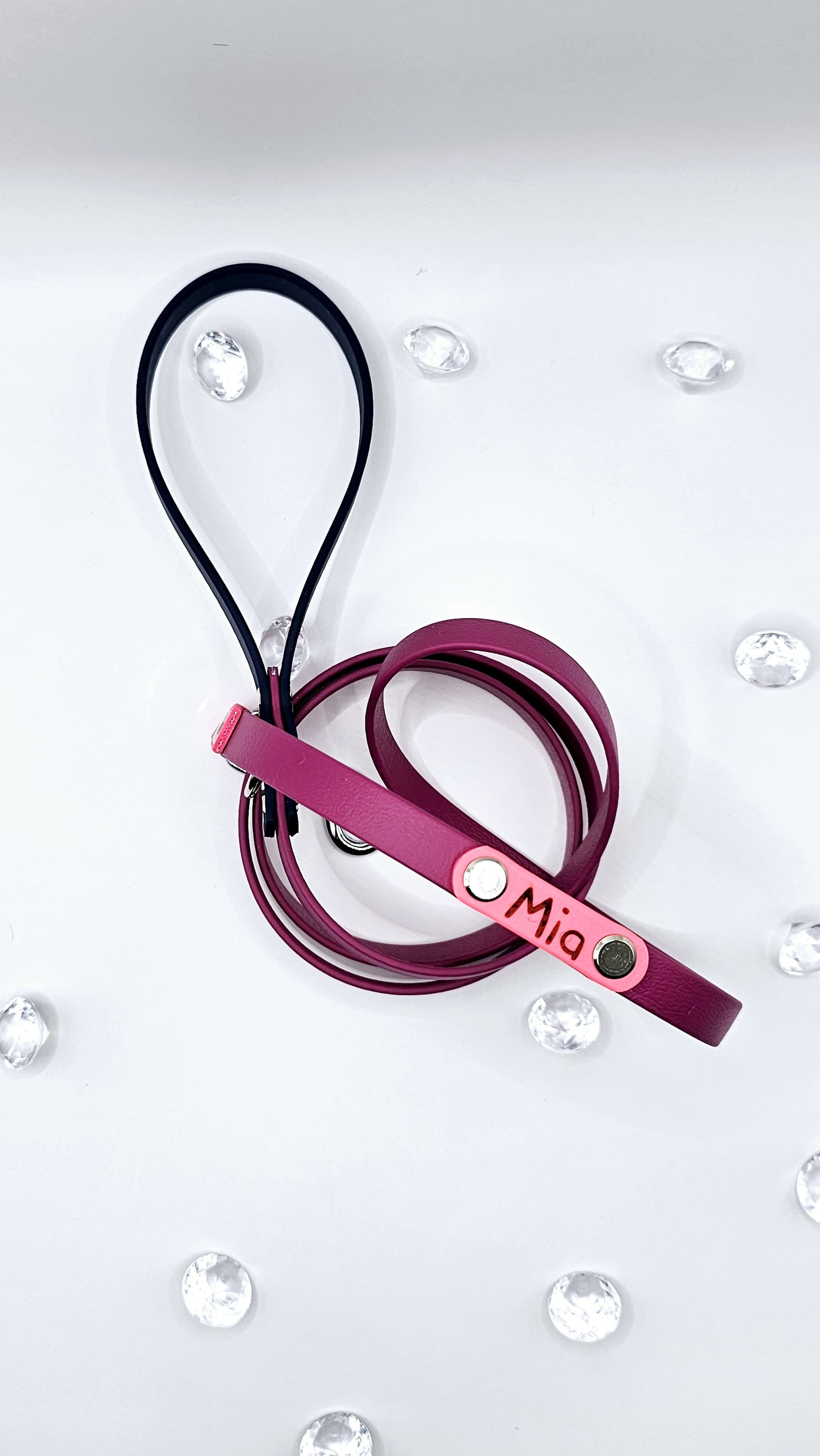 Standard Leash
