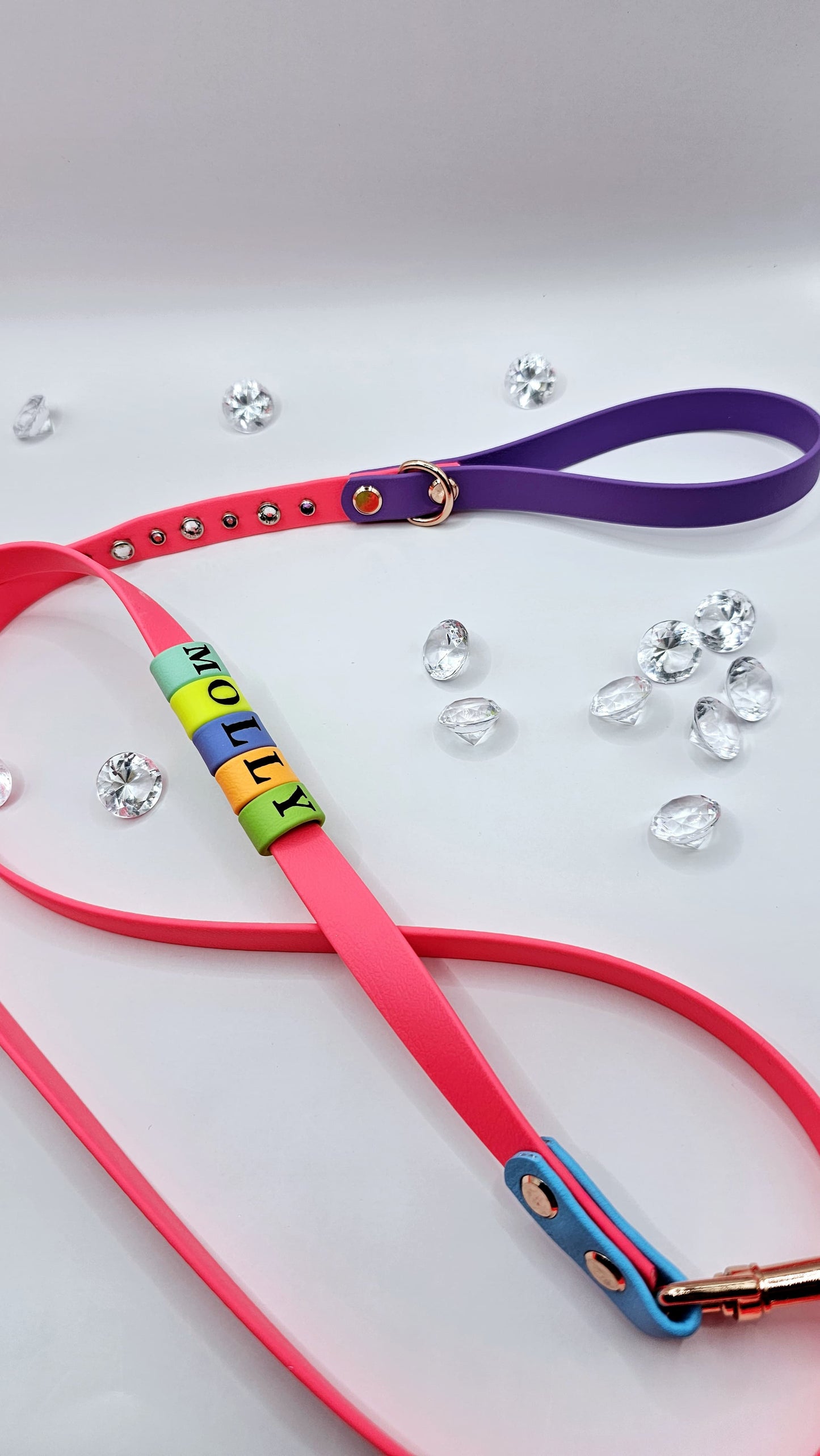 Standard Leash