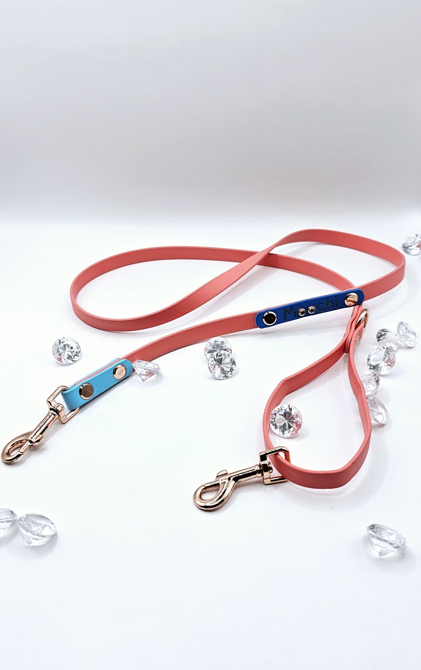 Standard Leash