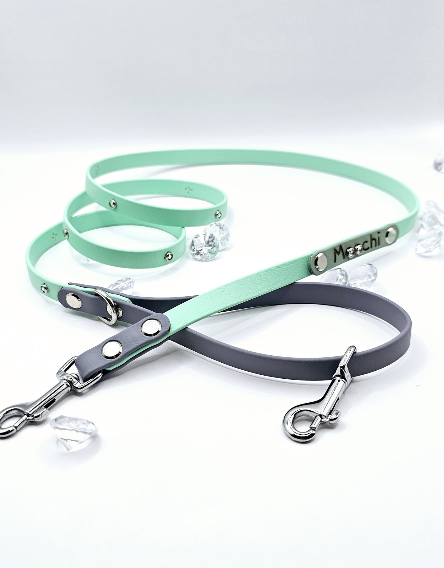 Standard Leash