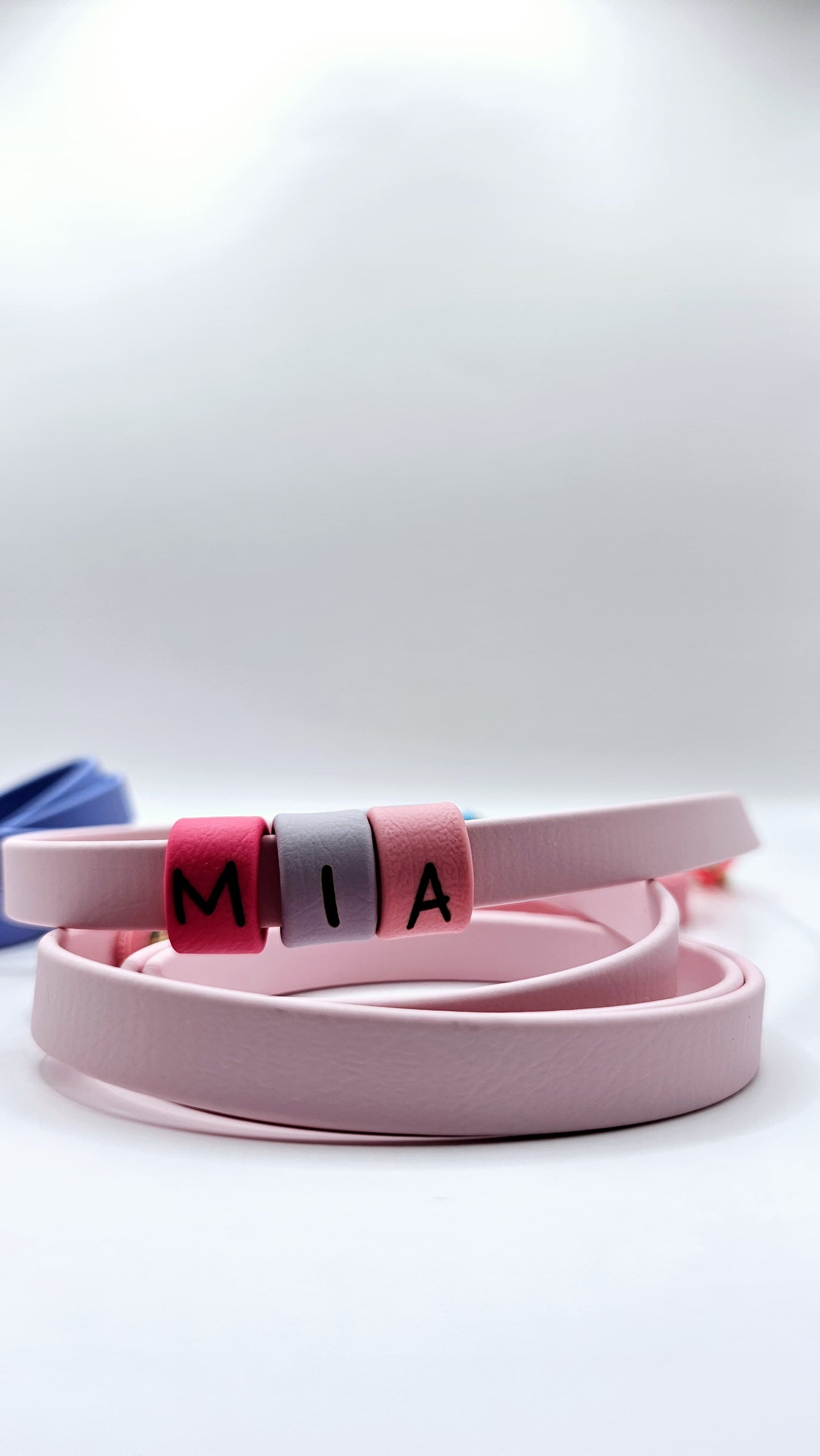Standard Leash
