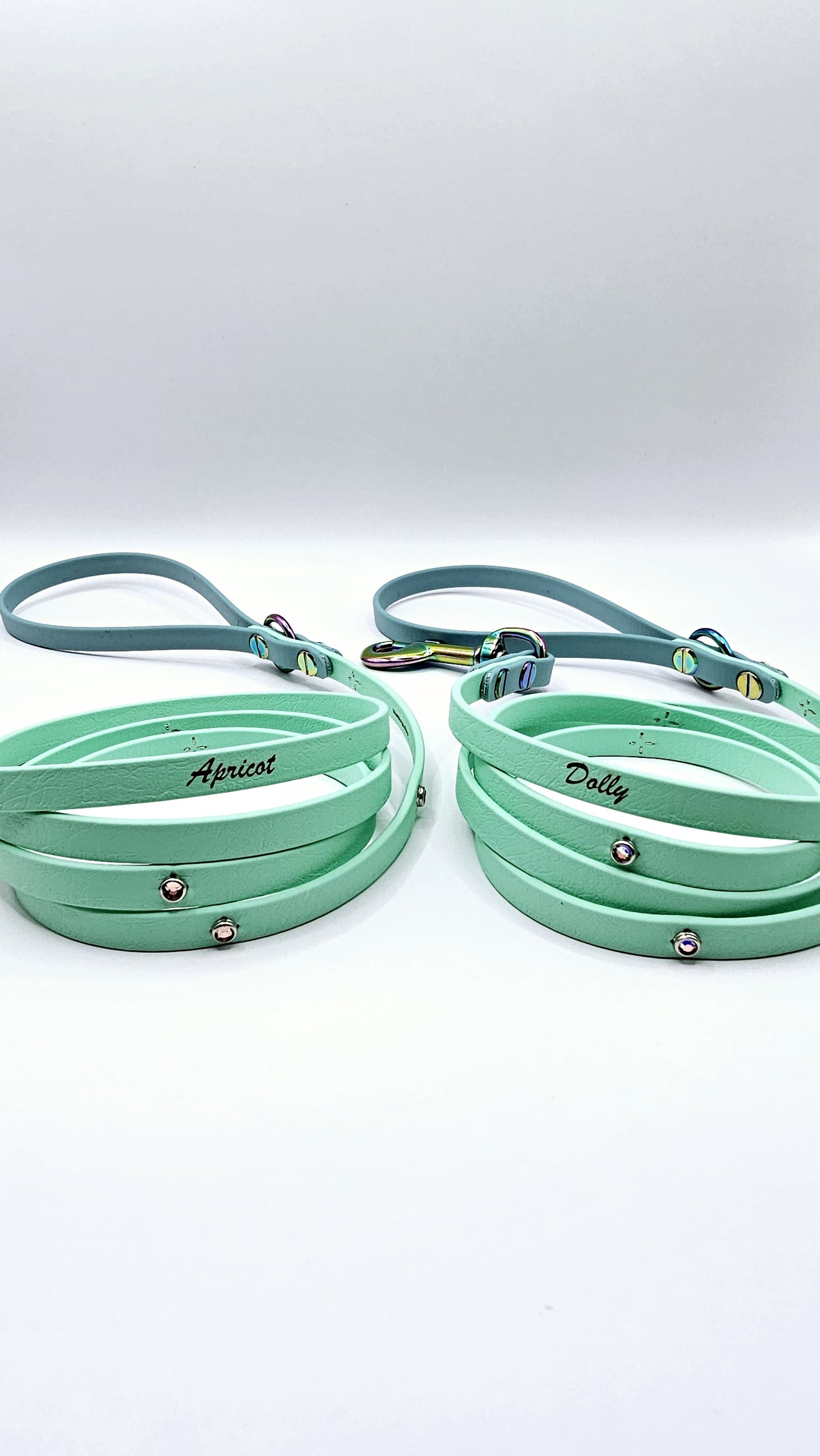 Standard Leash