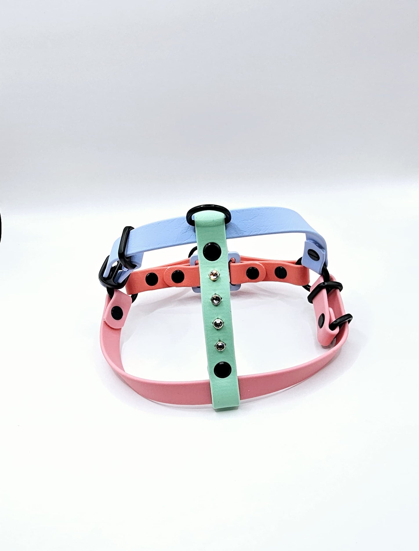 Step In Harness