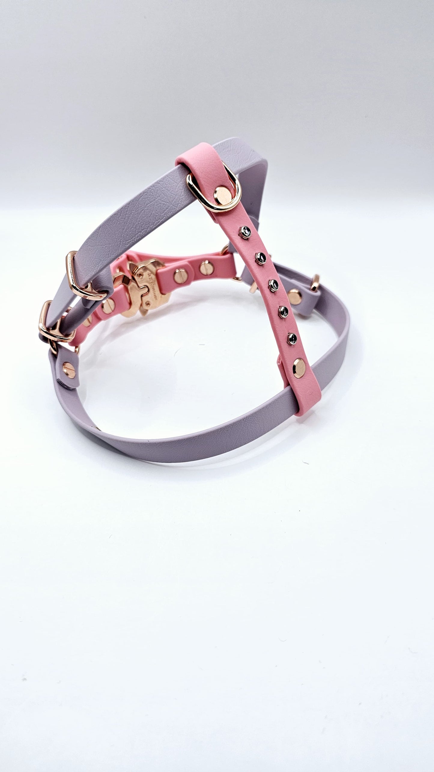 Step In Harness