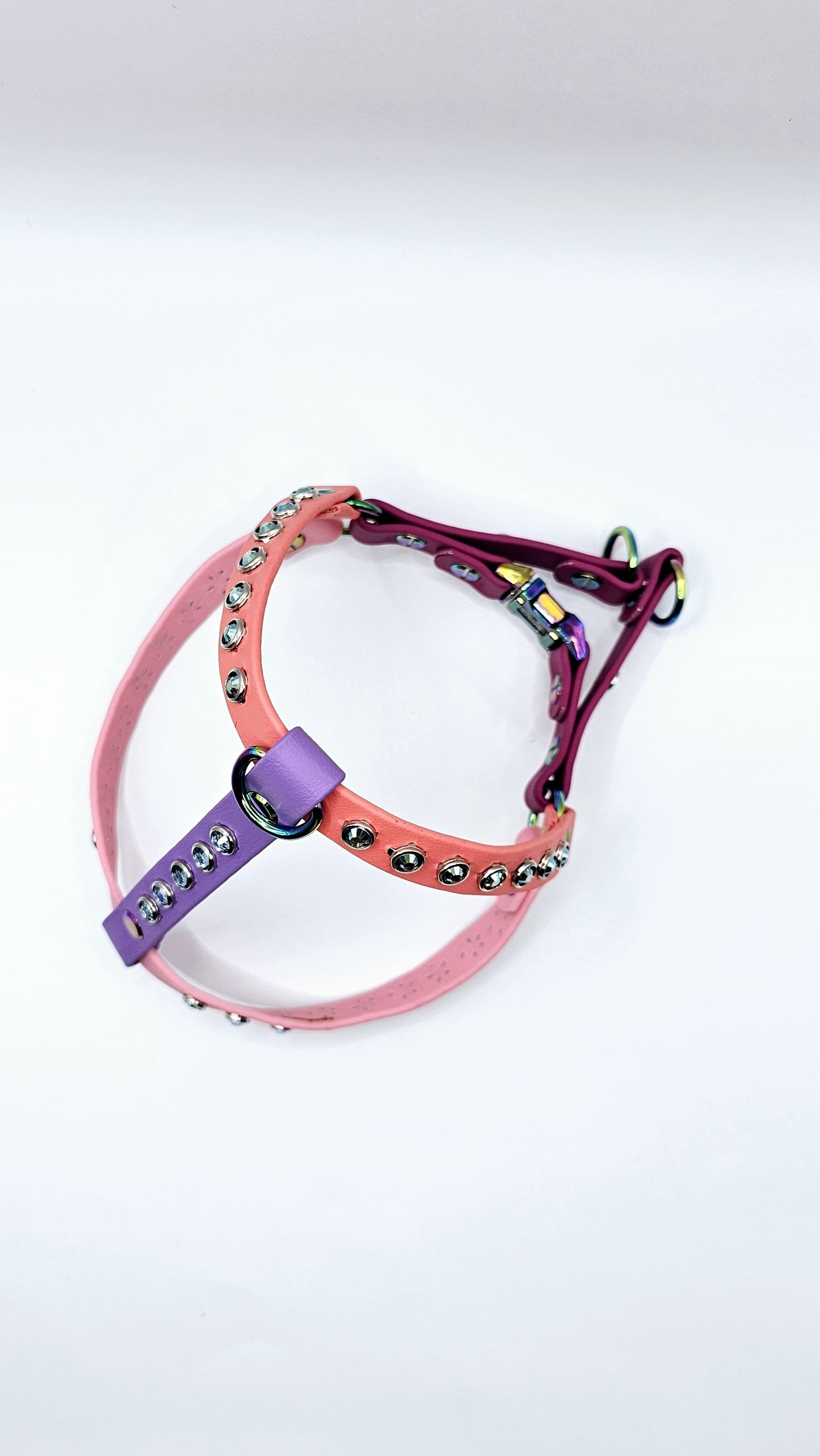Step In Harness