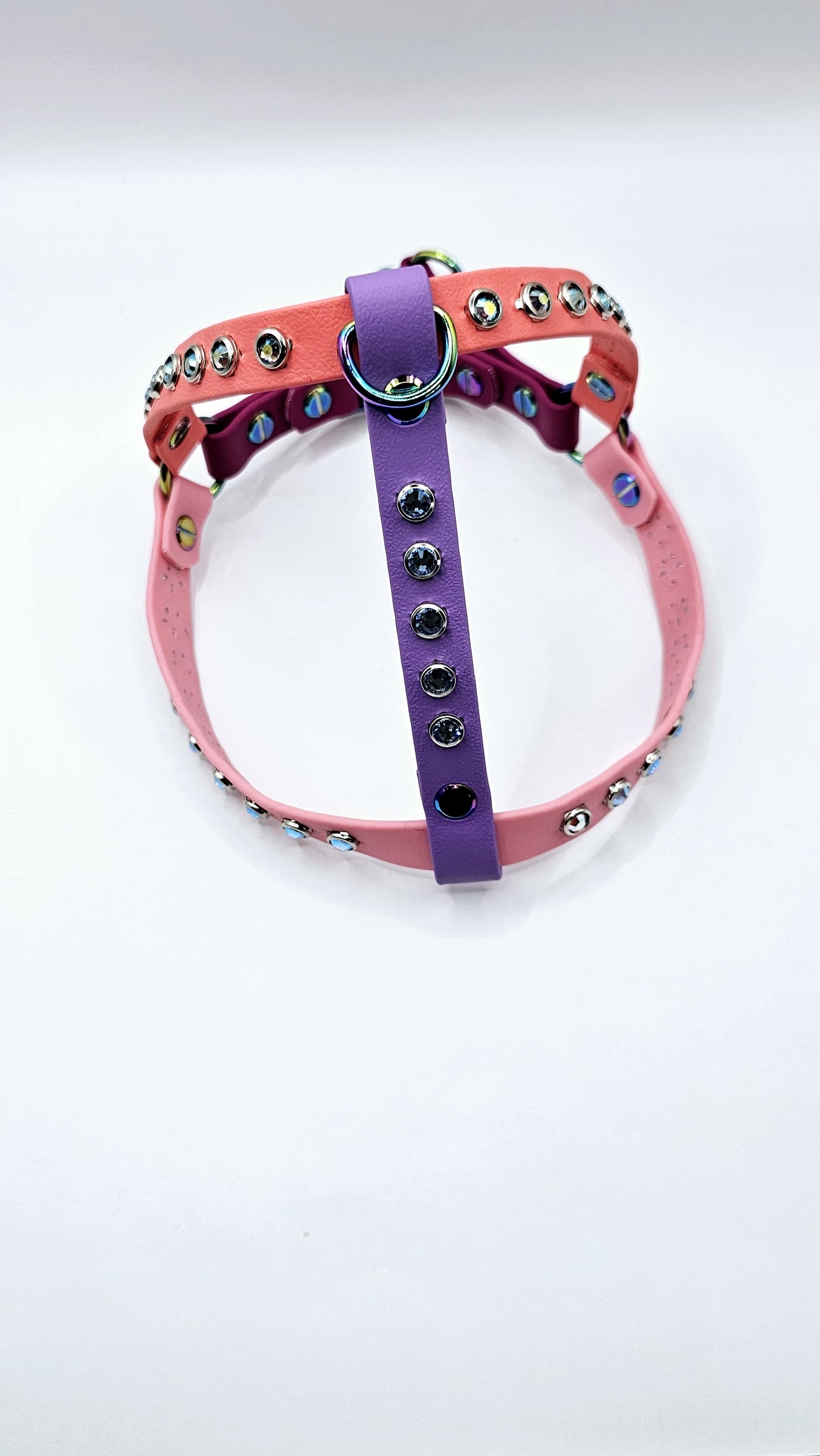 Step In Harness