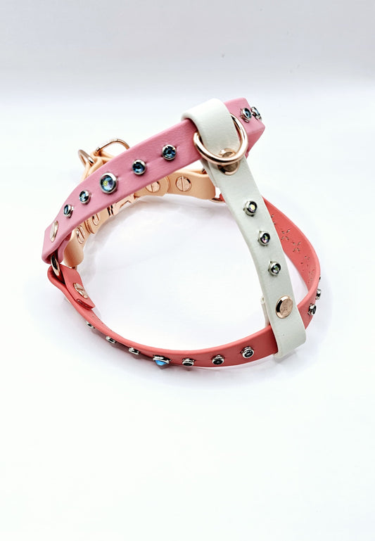 Step In Harness