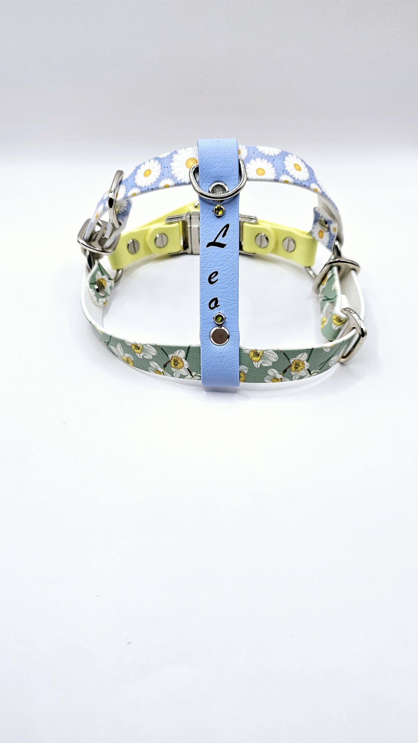 Step In Harness