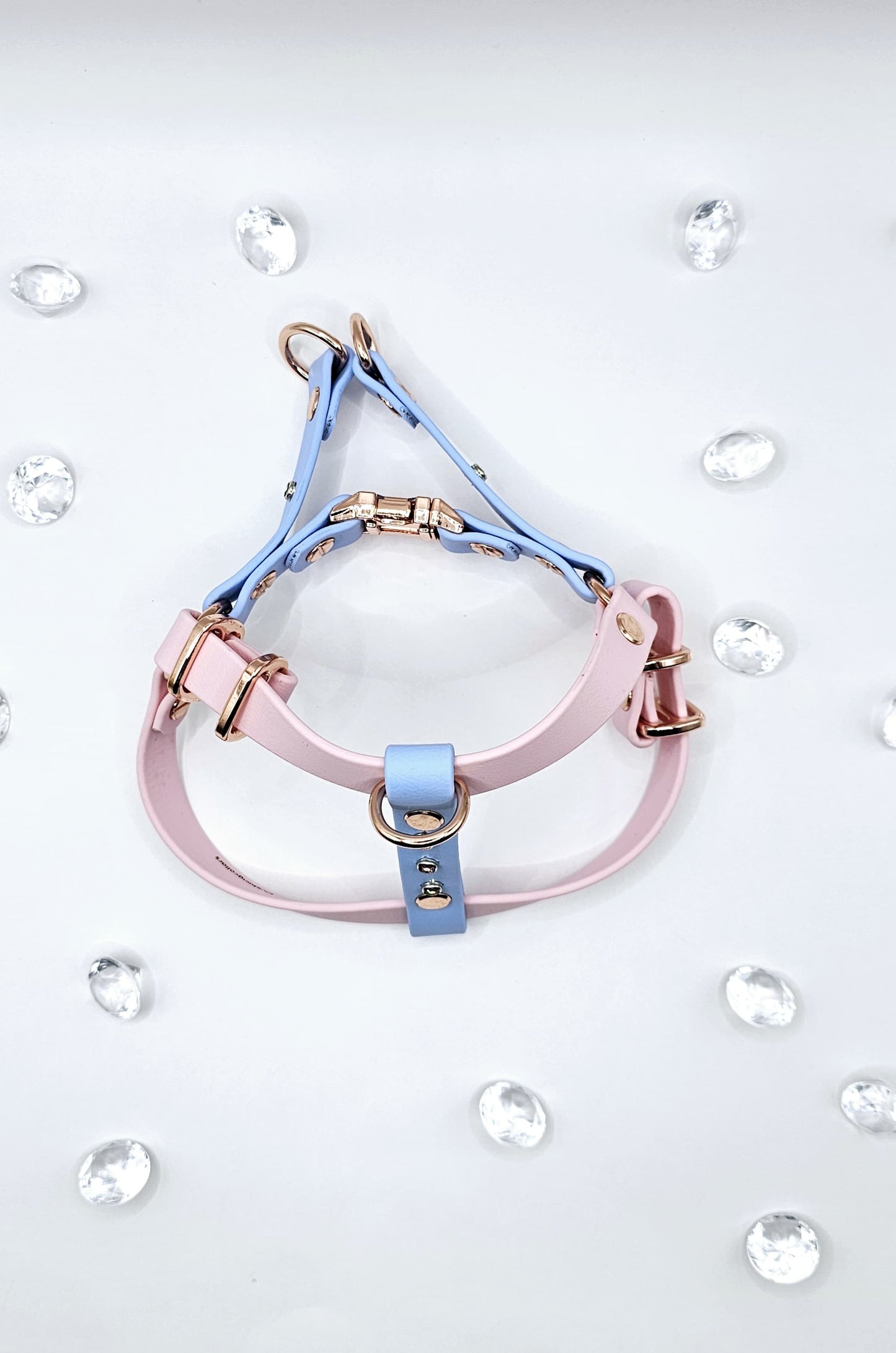Step In Harness