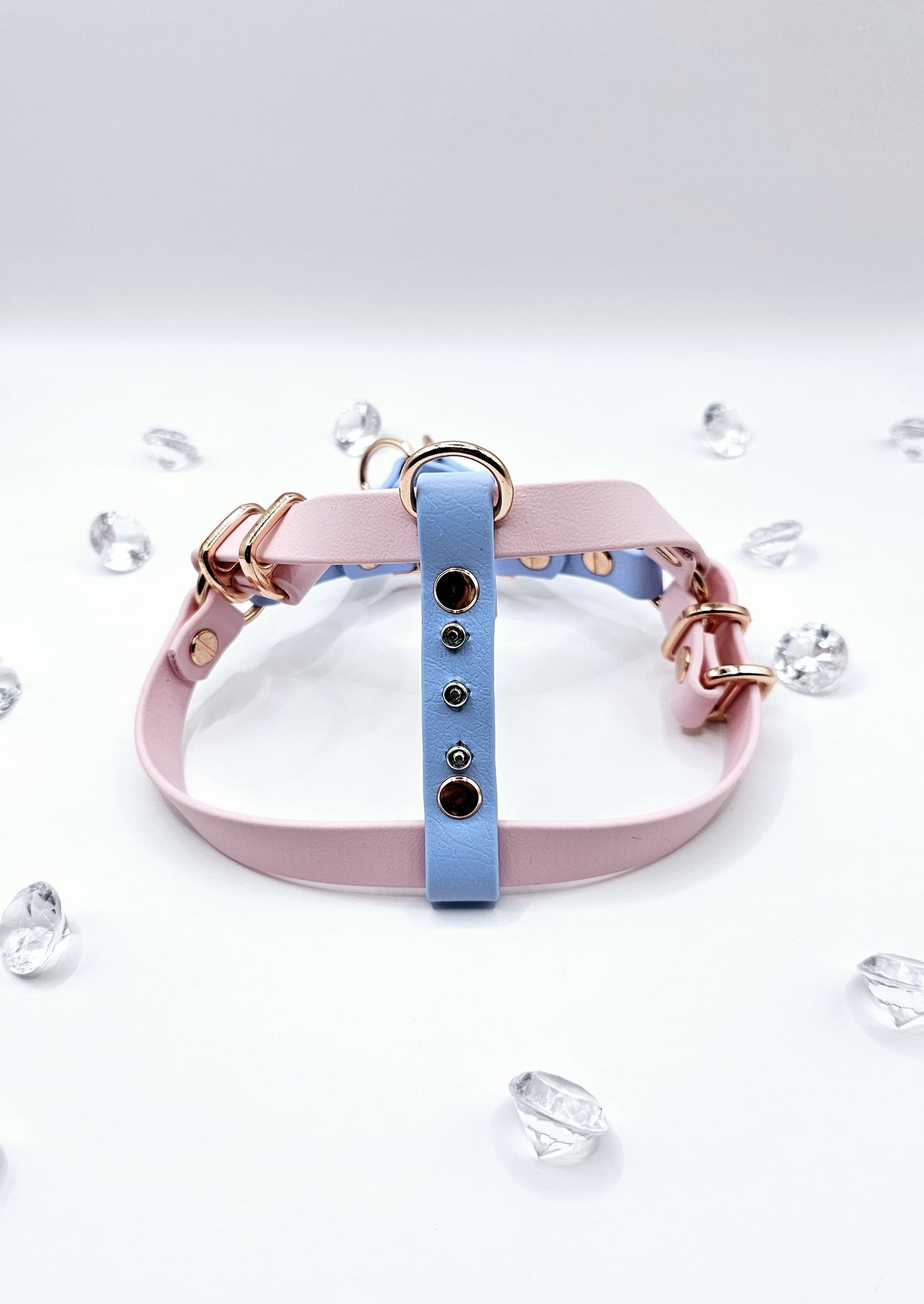 Step In Harness