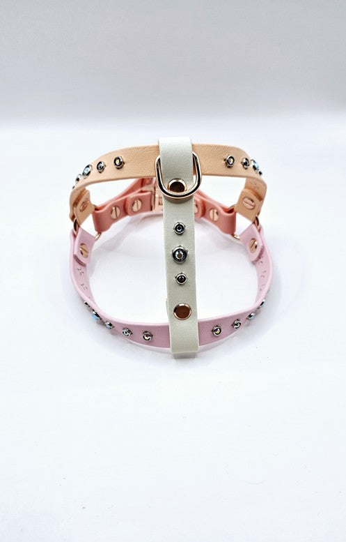 Step In Harness