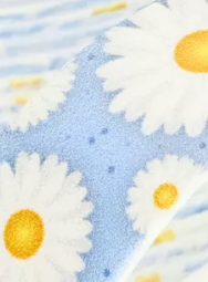 Daisy