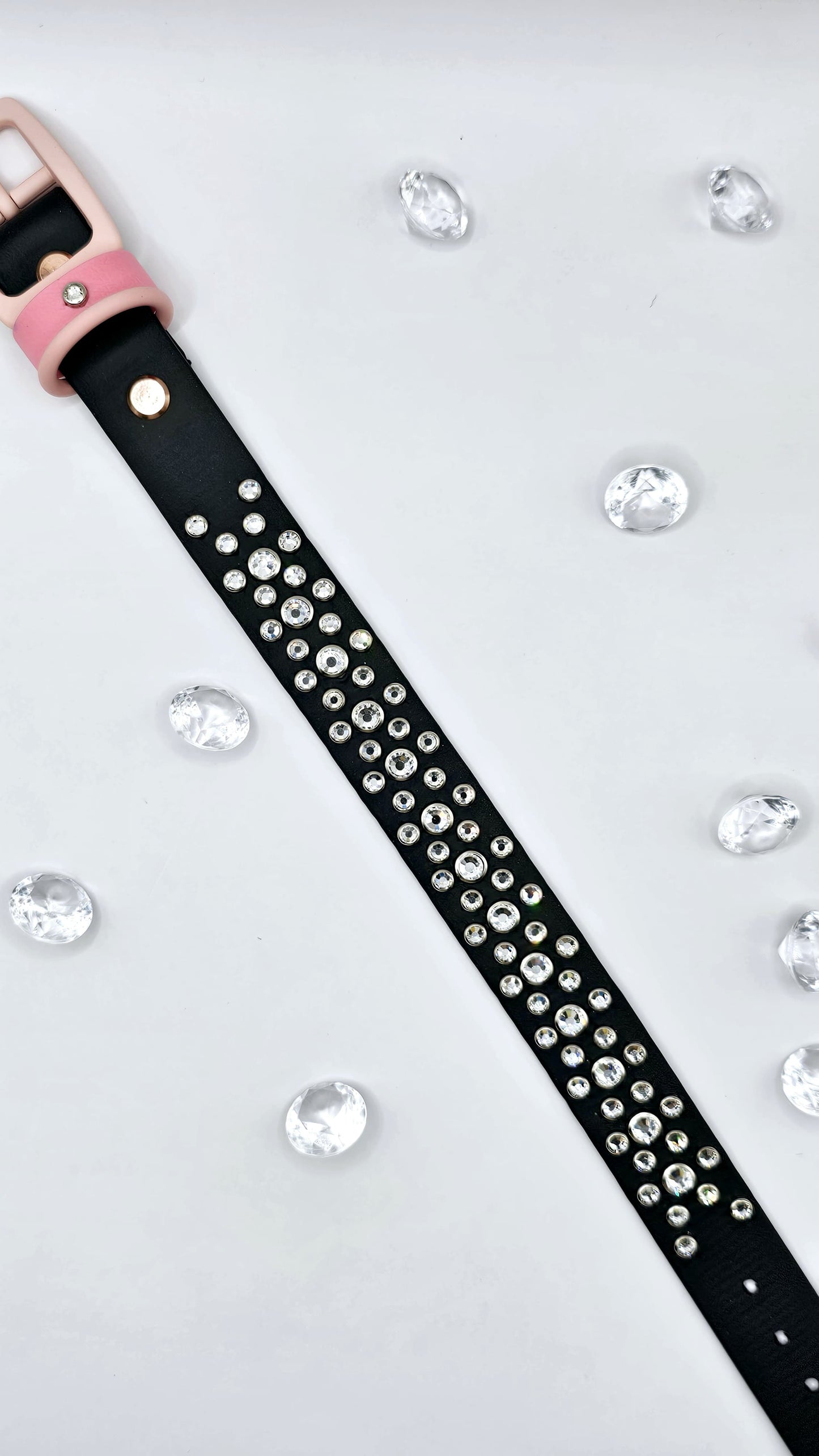 1" Collar (25 mm) - Blings Edition Design