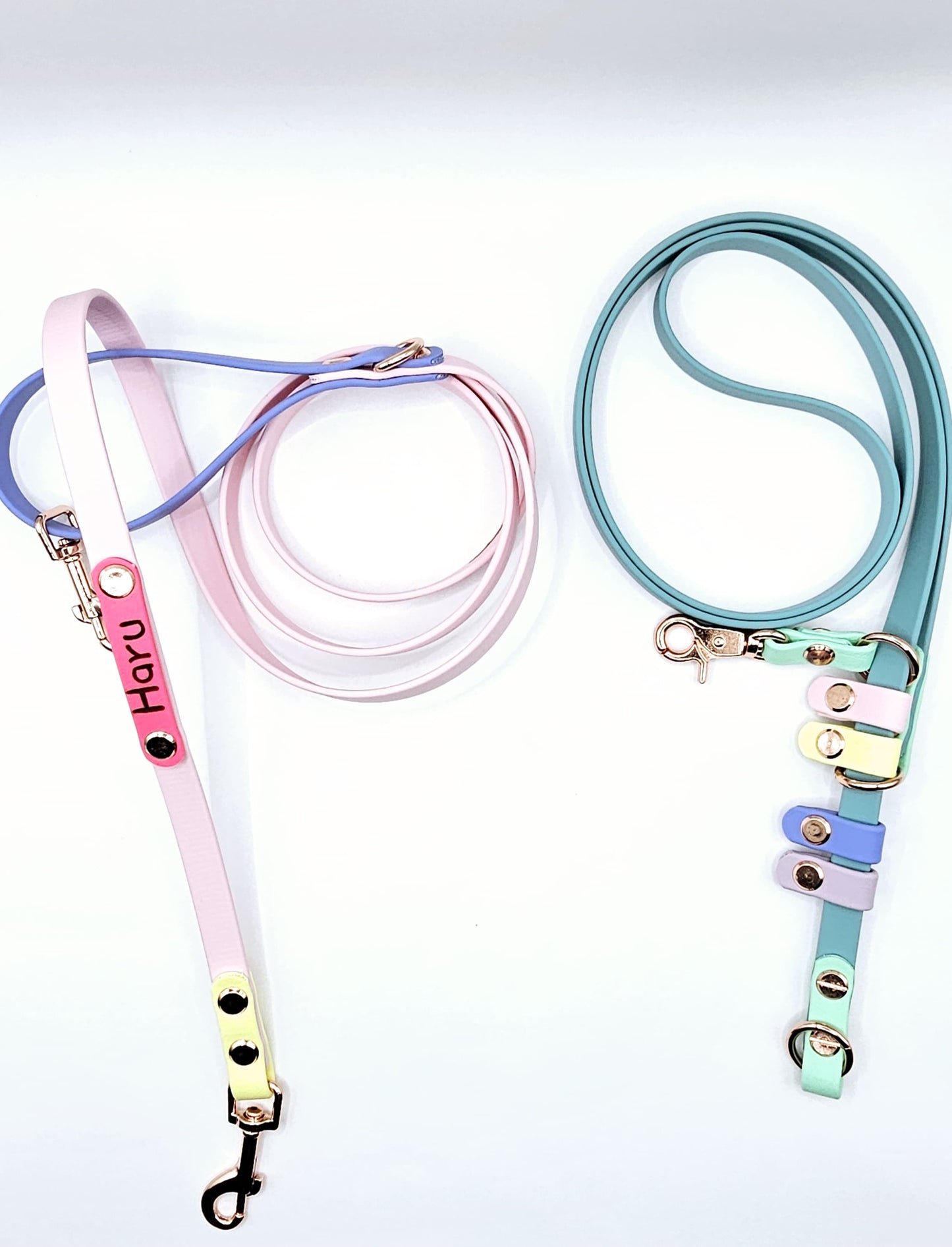Convertible Leash (2.5 Metre)