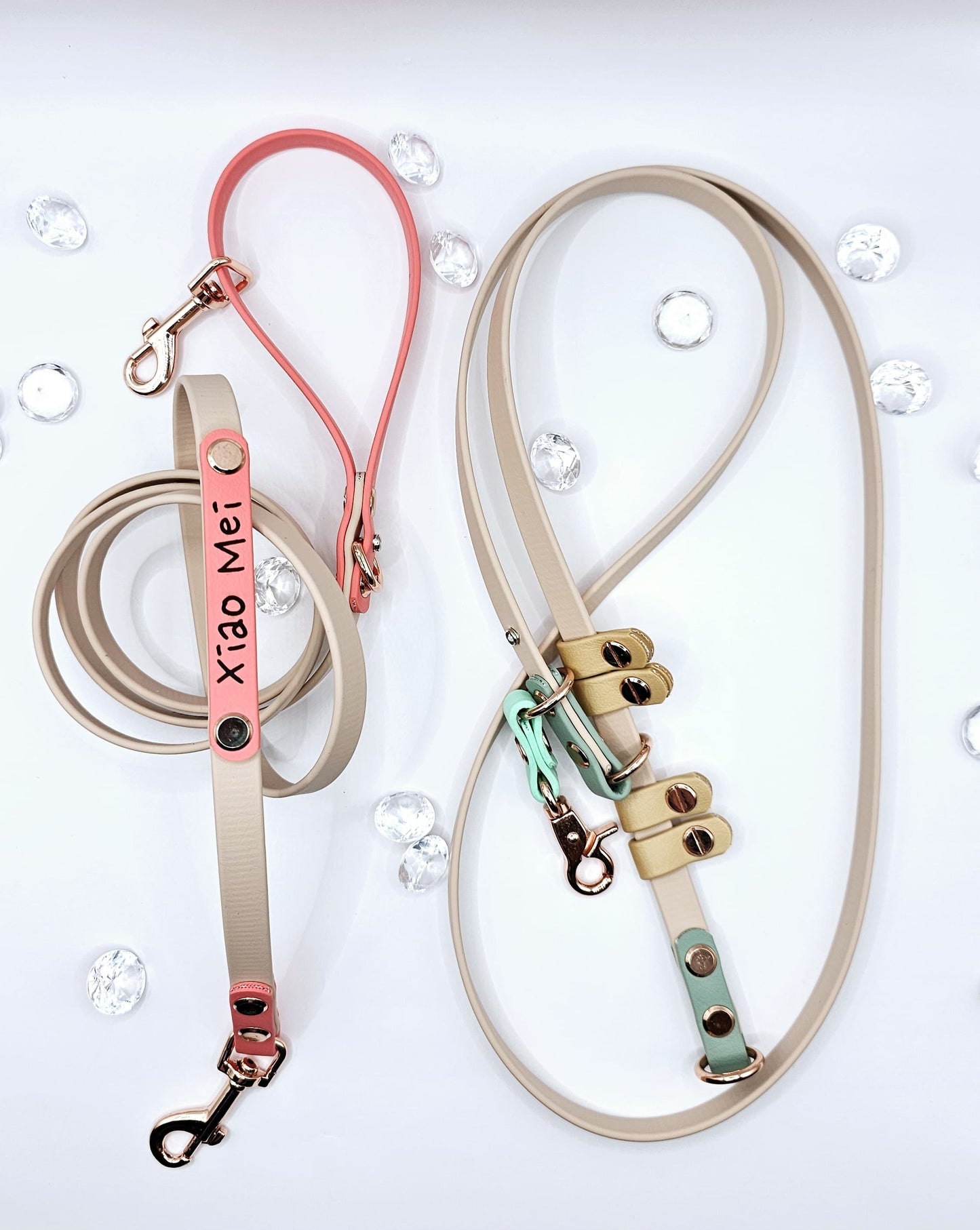 Convertible Leash (2.5 Metre)