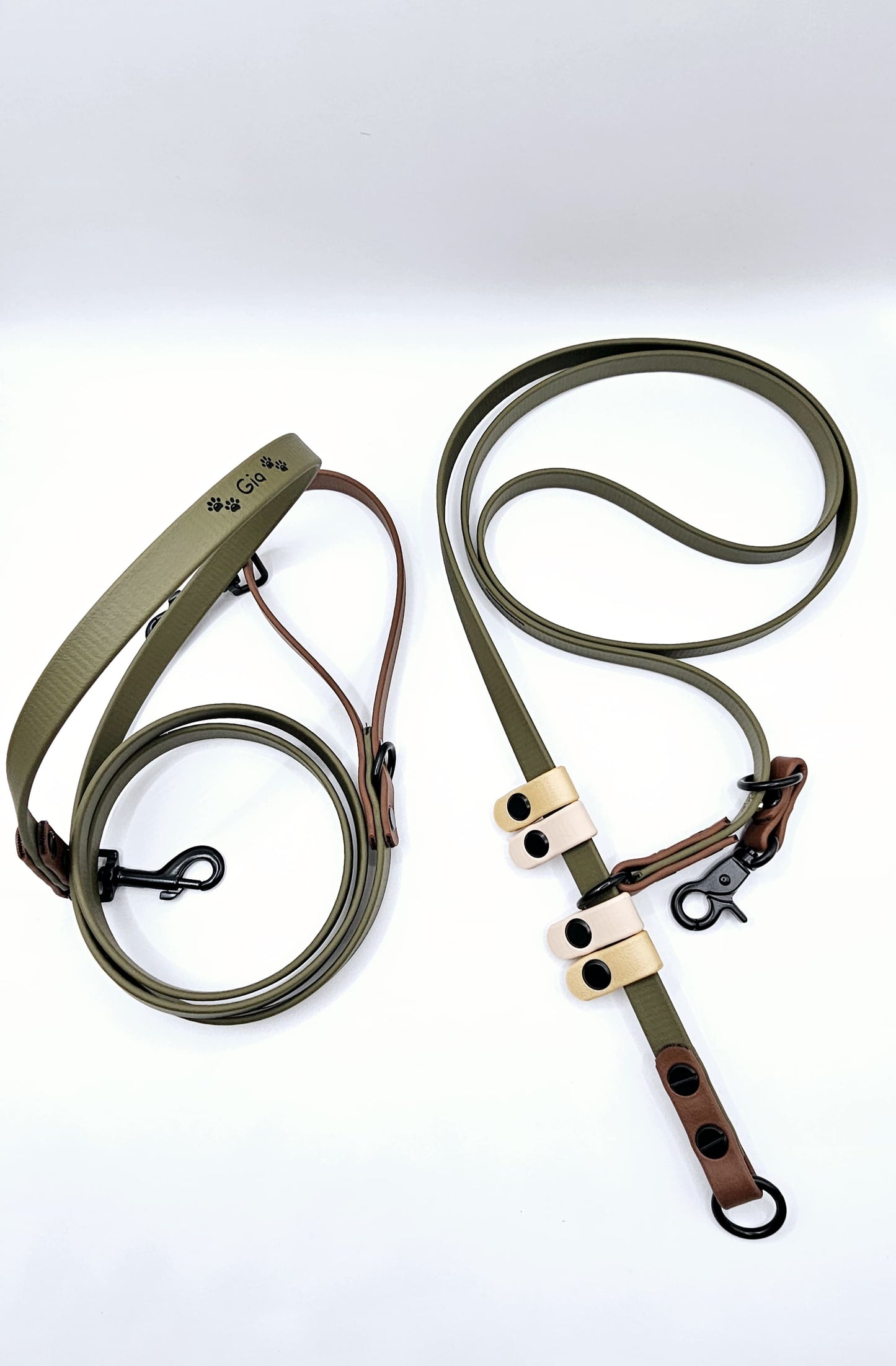 Convertible Leash (2.5 Metre)