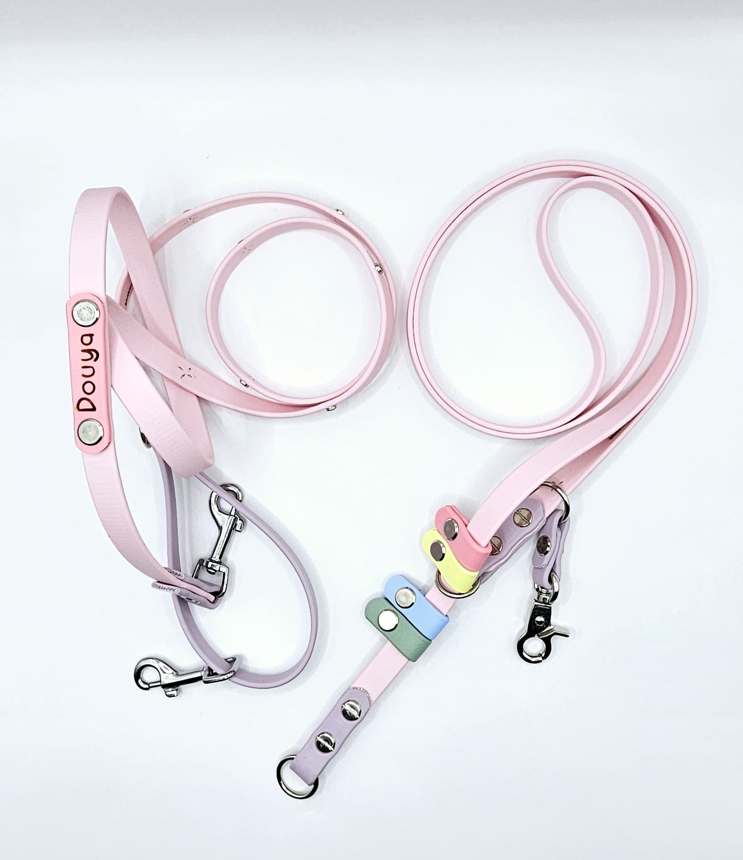 Convertible Leash (2.5 Metre)