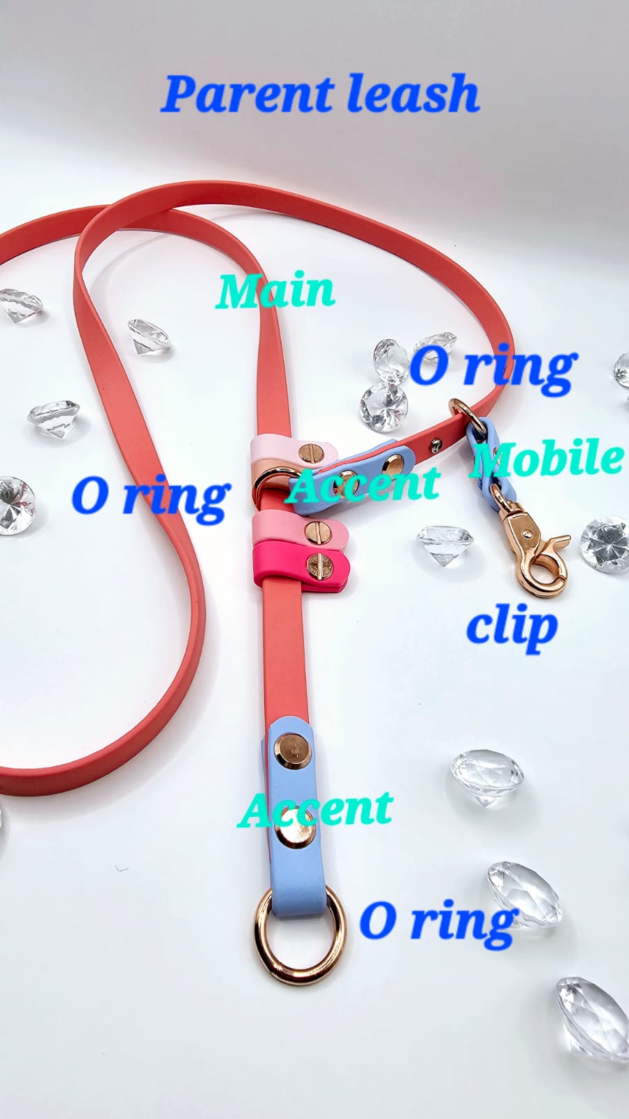 Convertible Leash (2.5 Metre)