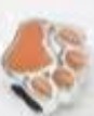 (Optional) Paw Prints Charm